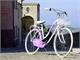 Klassisches Fahrrad für Damen Vintage Holland Lady in Fahrräder
