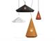 Hanging lamp in sheet steel Priamo in Suspended lamps