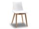 Chair Natural Zebra antishock solid color seat in Living room