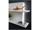 Backlit modular bookshelf Equal in Living room