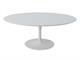 Tulip oval table 120x75 H 41 in Living room