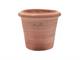Smooth cylinder Montelupo terracotta pot  in Pots