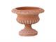 Terracotta cup pot in Pots