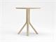 Table Ronde Tree in Tables