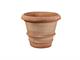Impruneta Terracotta Smooth Vase in Pots