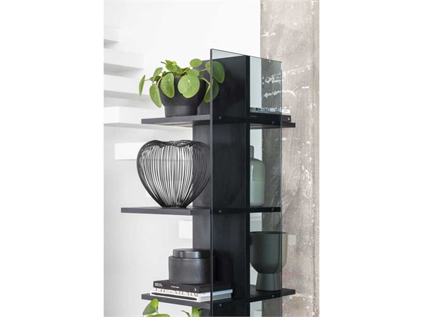 Glass and laminated floor-mounted bookcase Step