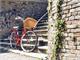 Danish Classical vintage bicycle for woman in Outdoor