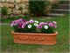 Jardinière festonné en terre cuite in Extérieur