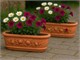 Jardinière festonné en terre cuite in Extérieur