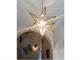 Stella Lampada a sospensione in Illuminazione