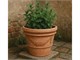 Vaso festooned double border in Outdoor