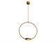 Hanging ring lamp Odigiotto in Lighting