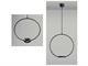 Hanging ring lamp Odigiotto in Lighting