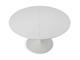 Tulip extendible table diameter 100 in Living room