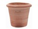 Smooth cylinder Montelupo terracotta pot  in Outdoor