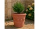 Vase Limoni Toscan vase en terre cuite in Extérieur