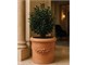 Vaso cilindro trequanda festonato in terracotta in Esterno