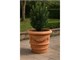Impruneta Terracotta Festooned Vase in Outdoor