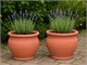 Vaso in Terracotta Cachepot Basic in Esterno