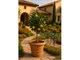 Impruneta Terracotta Smooth Vase in Outdoor