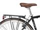 Boulevard Man Bicycle Urban-Bike style  in Outdoor