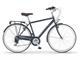 Boulevard Man Bicycle Urban-Bike style  in Outdoor