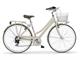 Boulevard Woman with basket Urban-Bike style bicycle in Outdoor