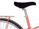 Bicicletta Old-Style Randonee 1897 Donna in Esterno