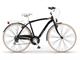Urban-Bike style Bicycle Vintage for Man in Outdoor