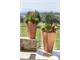 Squared Terracotta Pot Moderne in Outdoor