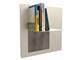 Designbücherschrank RiQuadro L in Tag