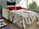 Fabric Sofa Bed Elton  - 202x98 cm / Mattress 140 cm in Living room