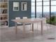 Table Rectangulaire Extension in Jour