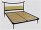Modern Wrought Iron Bed Tao in Bedrooms