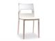 Polypropylene Chair Natural diva  in Living room