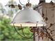 Boat lamp C1680 in Lighting