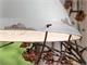 Boat lamp C1680 in Lighting