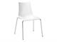 Polycarbonate Chair Zebra in Living room