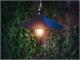 Outdoor hanging lamp Donatello in Lighting