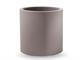 Cylinder planter pot Cosmos in Outdoor