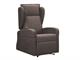 Recliner armchairs for the elderly Damiana in Living room