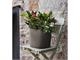 Design vases Capri in Outdoor