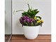 Vase rond Over in Extérieur