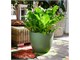 Vase rond Over in Extérieur