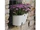Blumenkasten für Balkongeländer Paros in Außenseite
