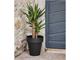 Indoor plants pots Time in Outdoor