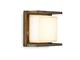 Modern outdoor wall lights Ice Cubic square in Lighting