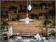Kitchen pendant light Asti C100 in Lighting