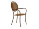Garden chairs with arms Paris in Outdoor