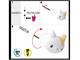 Appendiabiti da parete Gatto in Accessoires